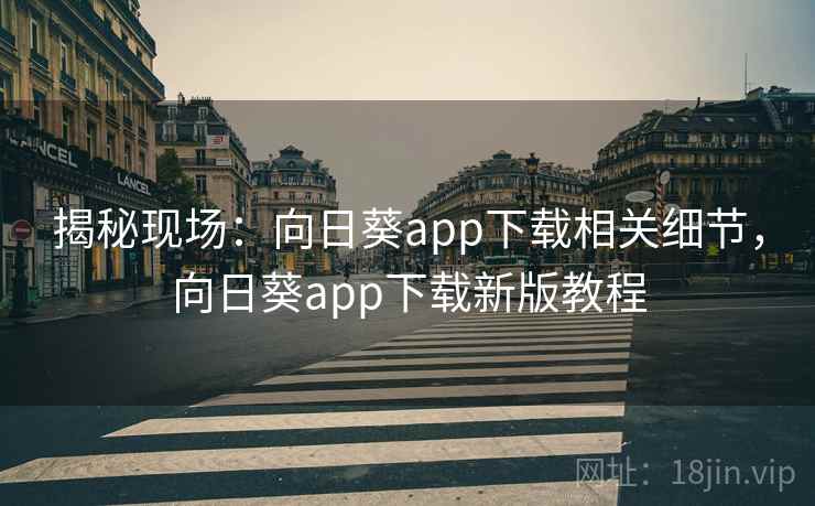 揭秘现场：向日葵app下载相关细节，向日葵app下载新版教程